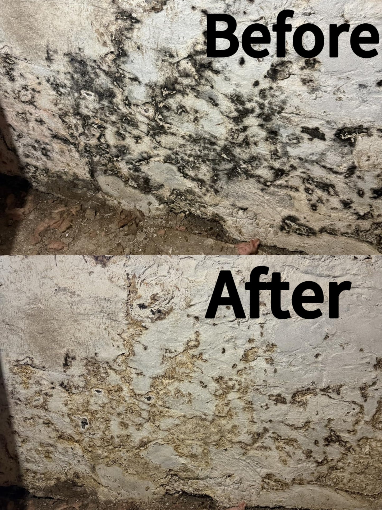 🔥 Buy 2 Get 1 Free🧼 Powerful Mold Remover Spray – Deep Clean & Prevent Regrowth