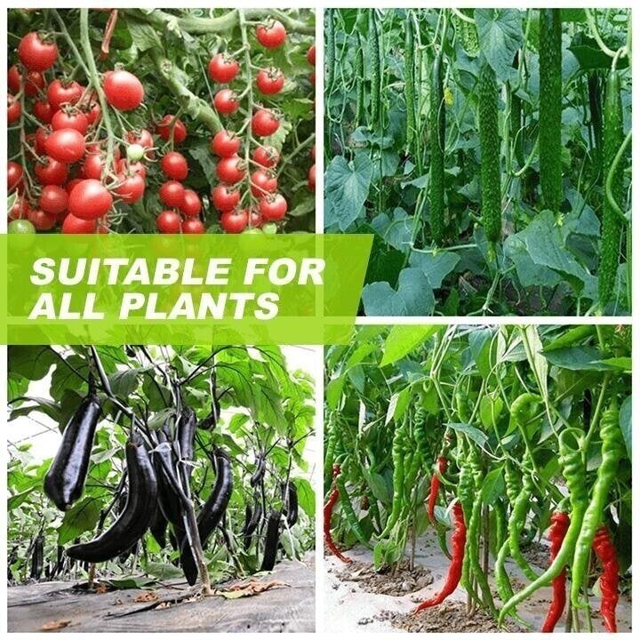 šMagic Hydroponic liquid fertilizerš±