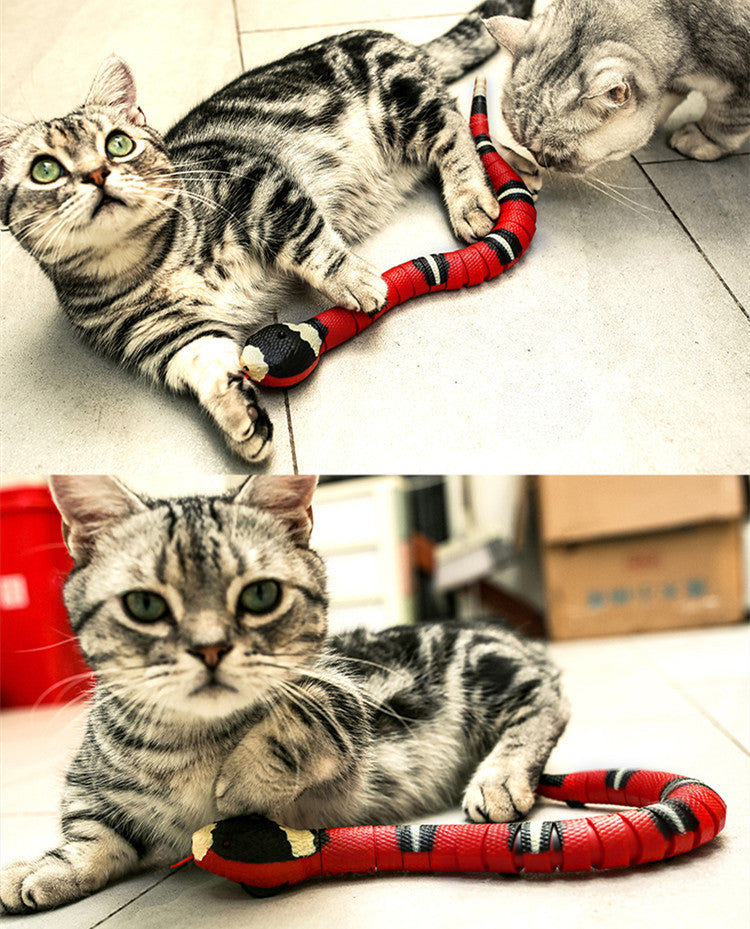 The Slither — Auto Sensing Cat Snake Toy