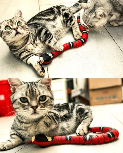 The Slither — Auto Sensing Cat Snake Toy