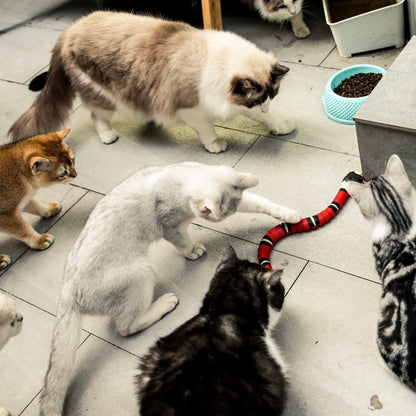 The Slither — Auto Sensing Cat Snake Toy