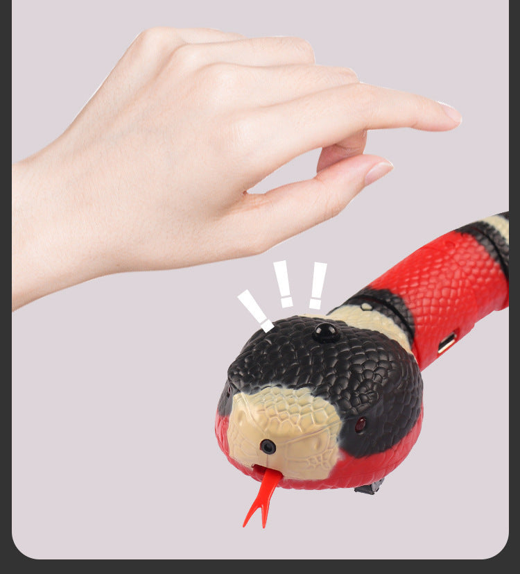 The Slither — Auto Sensing Cat Snake Toy