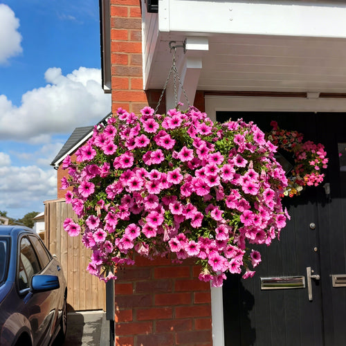 ⏰Limited Time Offer⏰🔥UV Resistant Artificial Petunias Flowers