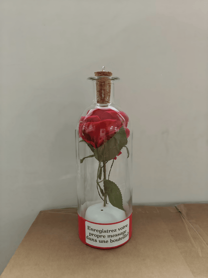 🎄Christmas Tree Message Bottle Ornament |🎁Voice Recording Keepsake Gift | 🔋AAA Batteries Not Included