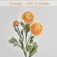 🌺Orange