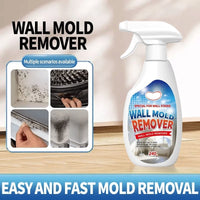 Mould Removal Spray*1