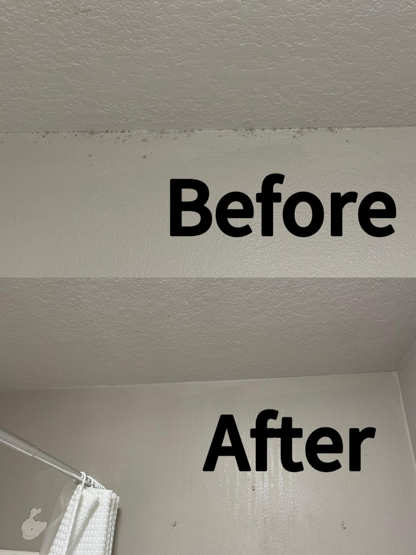 🔥  Buy 2 Get 1 Free🧼 Powerful Mold Remover Spray – Deep Clean & Prevent Regrowth