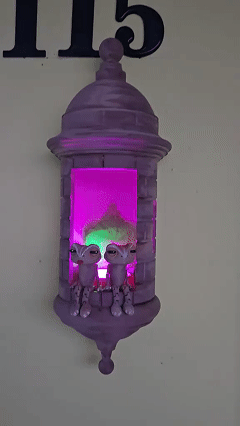 🎁Last Day Promotion 70% OFF✨Puerto Rican Garita Wall Coqui Lamp