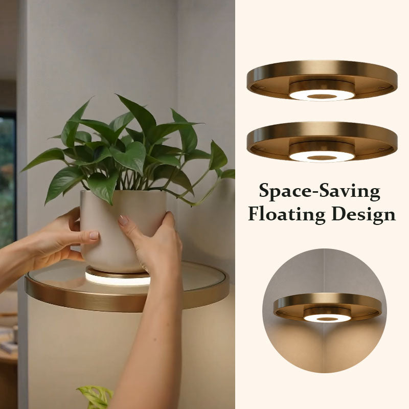 🌟Floating Wall Shelf with Built-in Ambient LED Light&USB Charging🌲