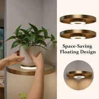 Buy 2 save 10%&✈️FREE SHIPPING