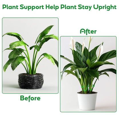 🏆Flash Sale⚡ 50K+ SOLD! Almost Gone-🌿Plant Stem Support Set