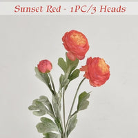 🌺Sunset Red