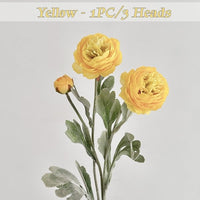 🌺Yellow