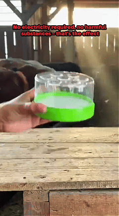 🪰 Reusable Fly Trap – No Power Needed for Kitchen, Garden & Patio 🌿