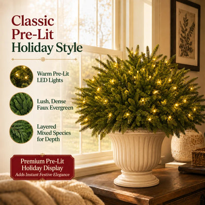 🎄🎄🎄Christmas Enchanted Evergreen Pine– Set of 5