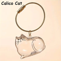 Calico Cat