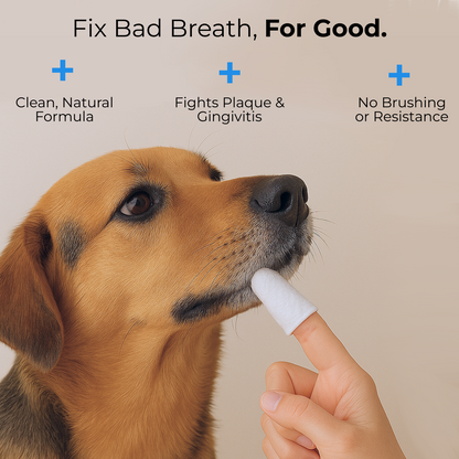 🔥🔥Natural Pet Dental Finger Wipes🦷