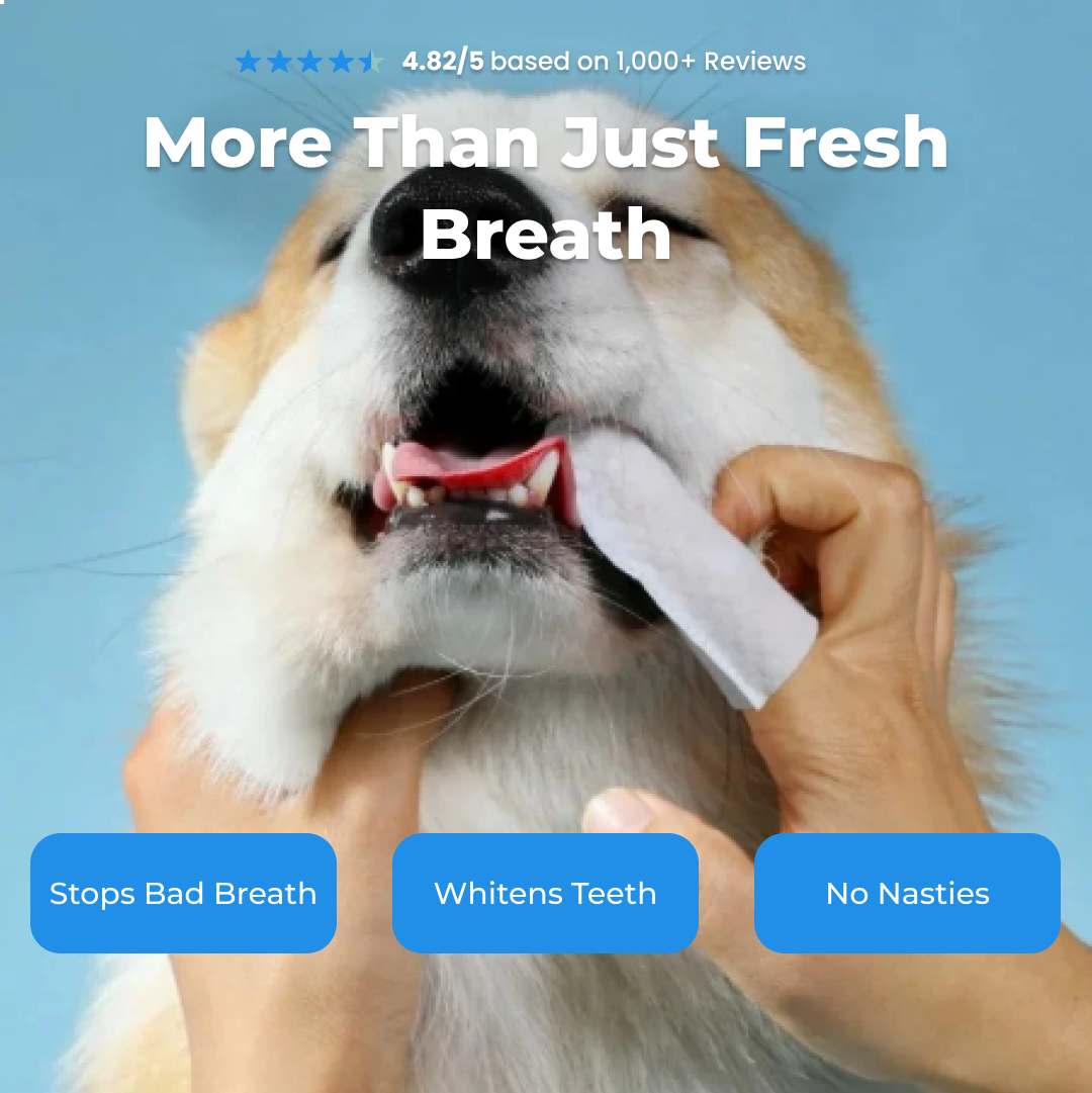 🔥🔥Natural Pet Dental Finger Wipes🦷