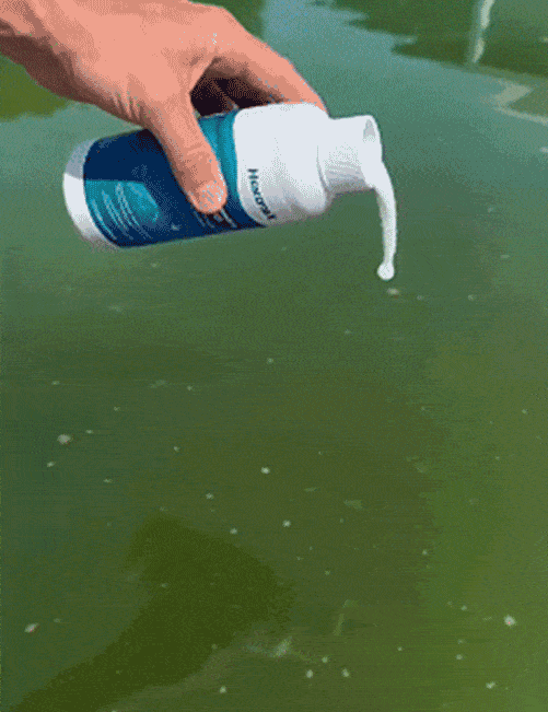 Fomonest™ Pool Water Purifier – Odor-Free, Crystal Clear Results in Hours