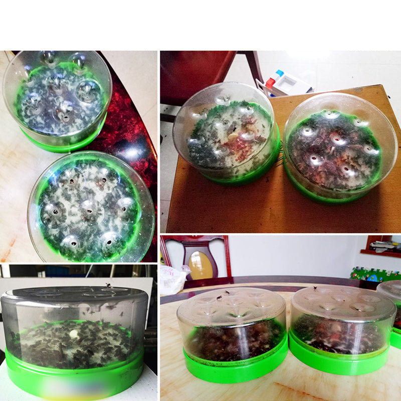 🪰 Reusable Fly Trap – No Power Needed for Kitchen, Garden & Patio 🌿