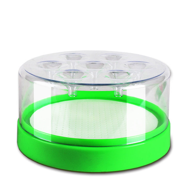 🪰 Reusable Fly Trap – No Power Needed for Kitchen, Garden & Patio 🌿