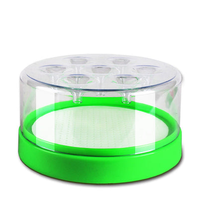 🪰 Reusable Fly Trap – No Power Needed for Kitchen, Garden & Patio 🌿
