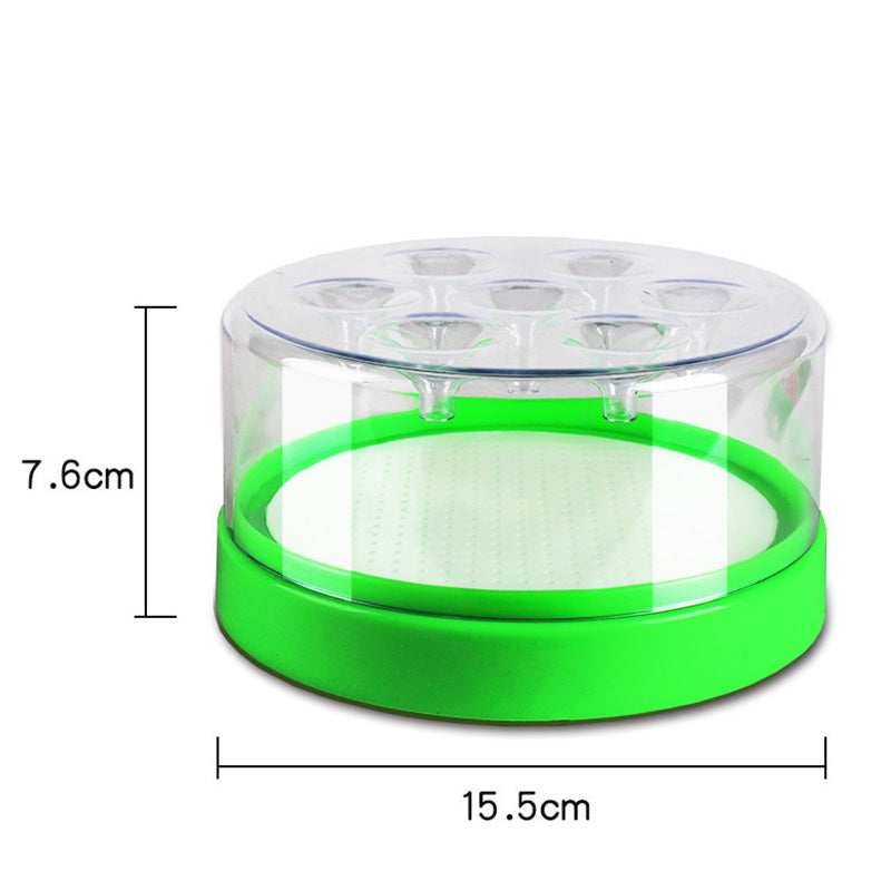 🪰 Reusable Fly Trap – No Power Needed for Kitchen, Garden & Patio 🌿